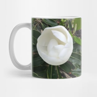 Magnolia Mug